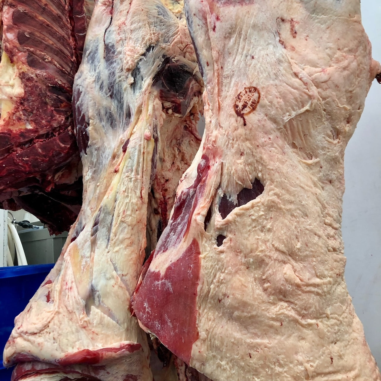Buying a Side of Beef - What to expect